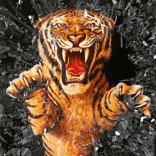 A Tiger With Its Mouth Open And Claws Out GIF