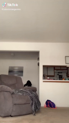 A Tiktok Video Of A Living Room With A Couch And A Bag GIF