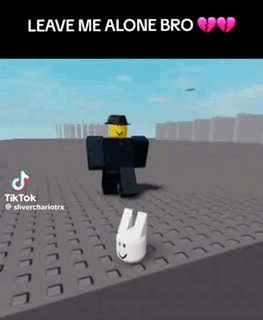 a tiktok video of a man and a bunny with the words leave me alone bro