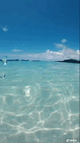 Turquoise Ocean TikTok Video With Blue Sky GIF