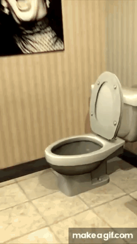 A Toilet In A Bathroom With A Picture Of A Man On The Wall GIF