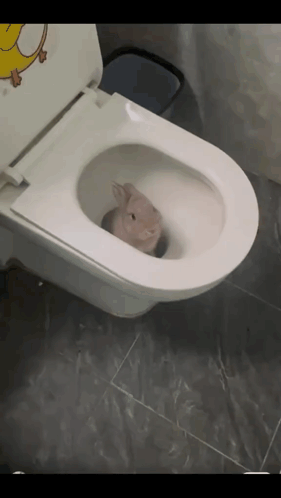 A Toilet With A Cartoon Duck On The Seat GIF