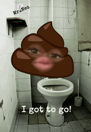 A Toilet With A Picture Of A Woman 'S Face On It And The Words I Got To Go GIF