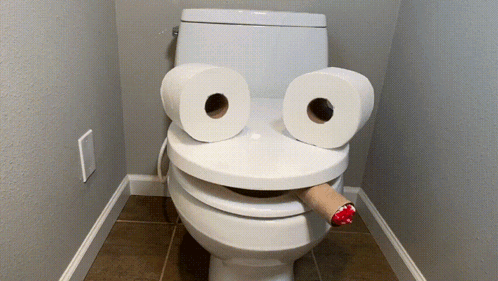 A Toilet With Two Rolls Of Toilet Paper On It 'S Seat GIF