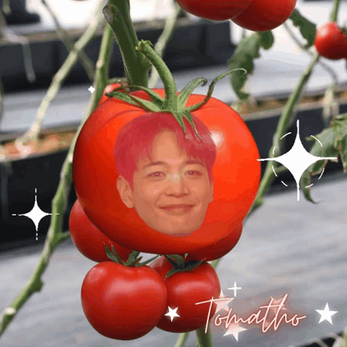 A Tomato With A Picture Of A Man 'S Face On It And The Word Tomato On It GIF
