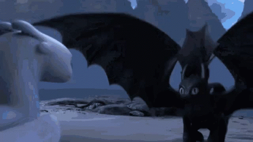 A Toothless And Light Fury From How To Train Your Dragon GIF