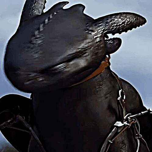 A Toothless From How To Train Your Dragon Is Riding A Horse GIF