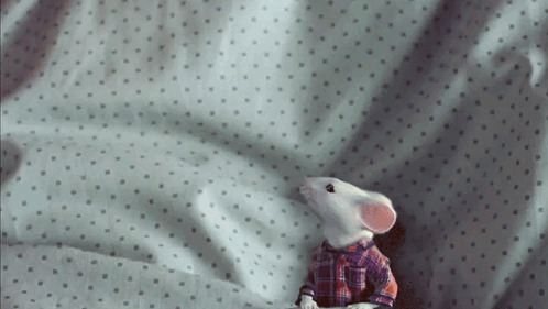 A Toy Mouse Is Sitting On A Bed With Polka Dots GIF