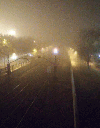 A Train Is Going Down The Tracks In A Foggy Area GIF