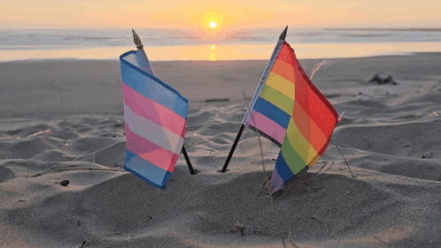 A Transgender Flag And A Rainbow Flag Are In The Sand On A Beach GIF