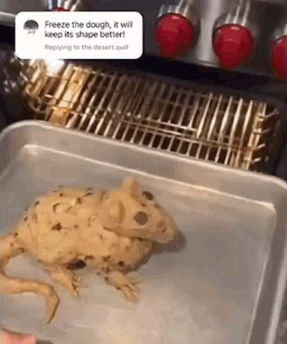 A Tray Of Dough That Looks Like A Lizard And Says Freeze The Dough GIF