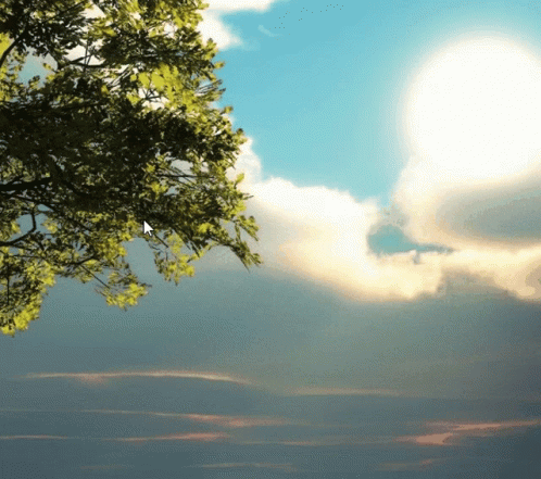 A Tree Branch Against A Cloudy Sky With A Mouse Pointer Pointing To The Sun GIF
