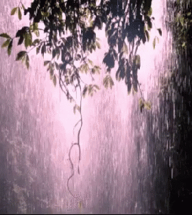 A Tree Branch Hanging Over A Waterfall With A Pink Background GIF