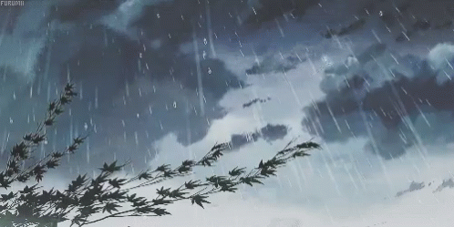 A Tree Branch Is Silhouetted Against A Cloudy Sky While Rain Falls GIF