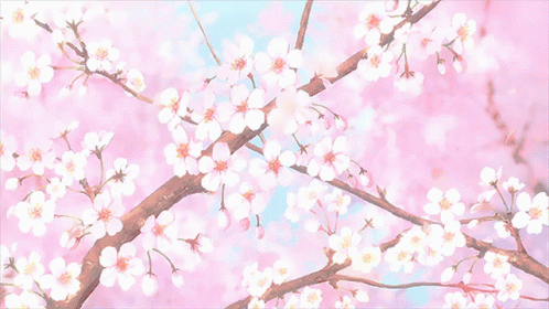 A Tree Branch With Pink Flowers On It GIF