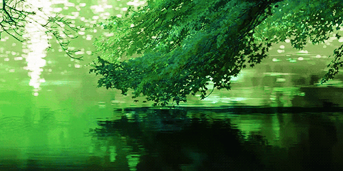 A Tree Branches Over A Body Of Water GIF