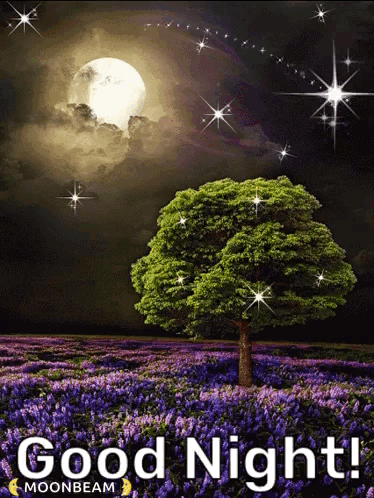 A Tree In A Field Of Purple Flowers With The Words Good Night GIF