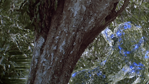 A Tree In A Forest With A Blue Bubble In The Background GIF