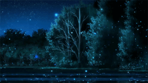A Tree In The Middle Of A Forest With A Starry Night Sky In The Background GIF