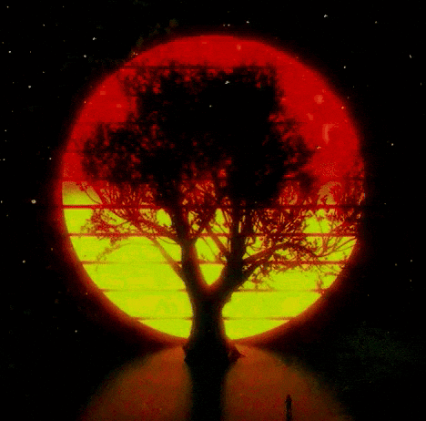 A Tree Is Silhouetted Against A Red And Yellow Background GIF