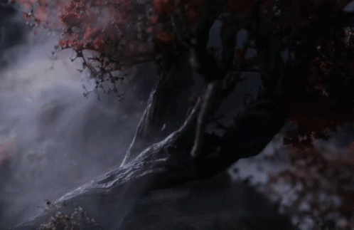 A Tree With Red Leaves Is In The Dark GIF