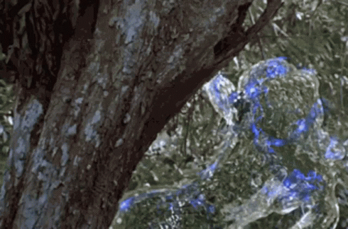 A Tree With Water Coming Out Of It GIF