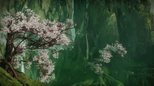 A Tree With White Flowers Is In A Forest GIF