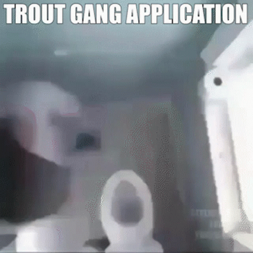 A Trout Gang Application Is Displayed On A Screen GIF