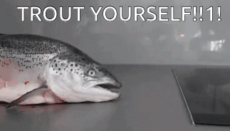 A Trout Is Laying On A Counter With The Words Trout Yourself !!! Written Above It GIF