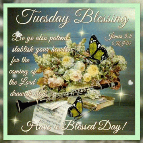 A Tuesday Blessing Card With Flowers And Butterflies On It GIF