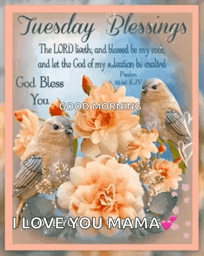 A Tuesday Blessings Card With Birds And Flowers With A Bible Verse GIF
