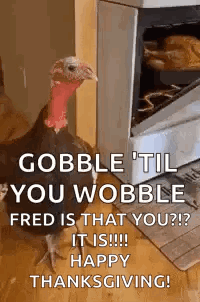 A Turkey Is Standing In Front Of A Stove With The Words `` Gobble 'Til You Wobble Fred Is That You ? '' GIF
