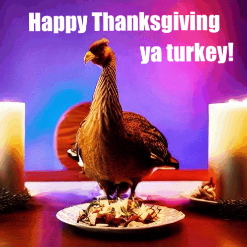 A Turkey Is Standing On A Plate Of Food With The Words Happy Thanksgiving Ya Turkey Below It GIF