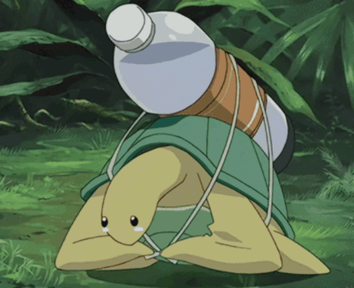 A Turtle Is Carrying A Bottle On Its Back GIF