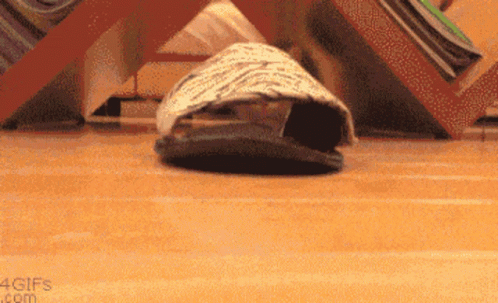 A Turtle Is Crawling On A Wooden Floor In Front Of A Book Shelf GIF