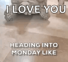 A Turtle Is Sitting On A Tiled Floor With The Words `` I Love You Heading Into Monday Like '' . GIF