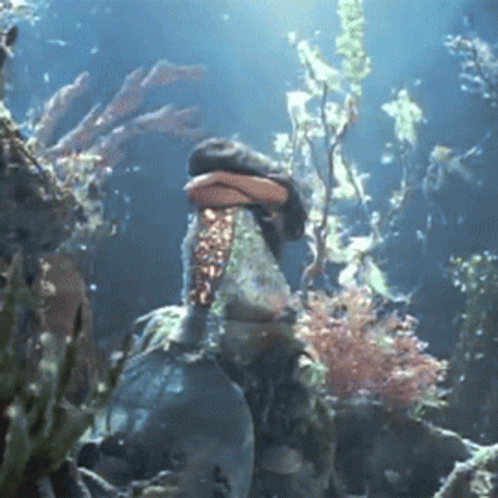 A Turtle Is Swimming In A Coral Reef Surrounded By Seaweed GIF
