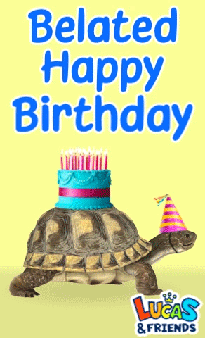 A Turtle Wearing A Party Hat And A Cake On Its Head With The Words Belated Happy Birthday GIF