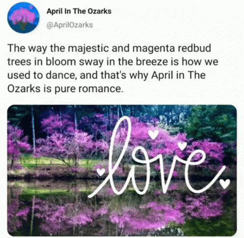 A Tweet From April In The Ozarks Shows A Picture Of Pink Flowers GIF