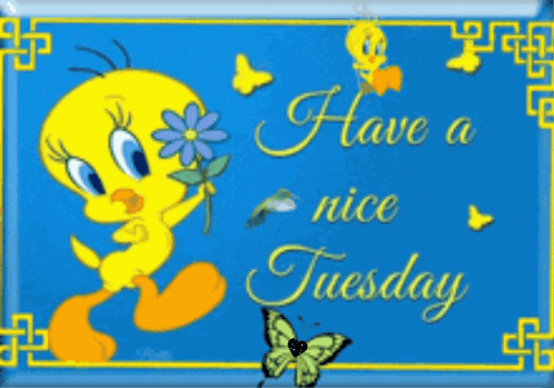 A Tweety Bird Holding A Flower With The Words Have A Nice Tuesday Below It GIF