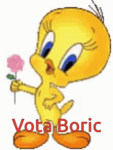 A Tweety Bird Is Holding A Pink Flower And The Words Vota Boric Are Below It GIF