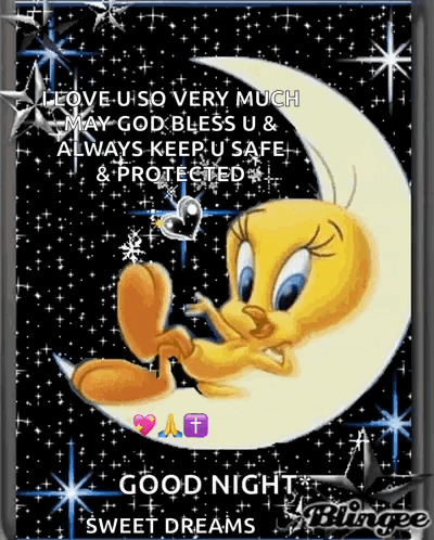 A Tweety Bird Is Sitting On A Crescent Moon With A Good Night Sweet Dreams Message GIF