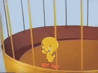 A Tweety Bird Is Standing In A Cage GIF