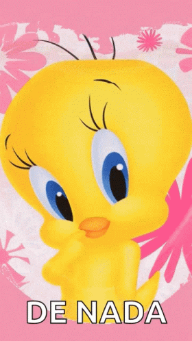 A Tweety Bird On A Pink Background With The Words De Nada GIF