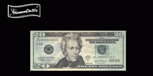 A Twenty Dollar Bill With A Picture Of A Woman On It GIF