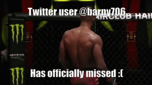 A Twitter User Has Officially Missed A Fight GIF