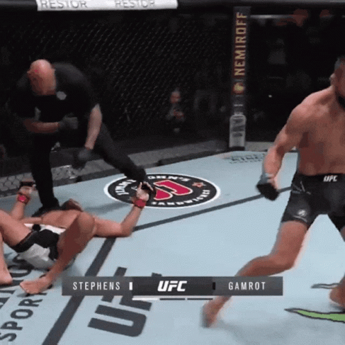 A Ufc Fight Between Stephens And Gamrot Is In Progress GIF