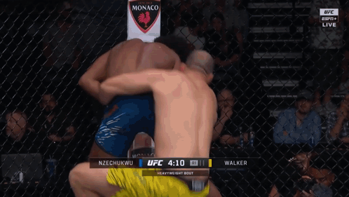 A Ufc Heavyweight Bout Between Walker And Nzechukwu GIF