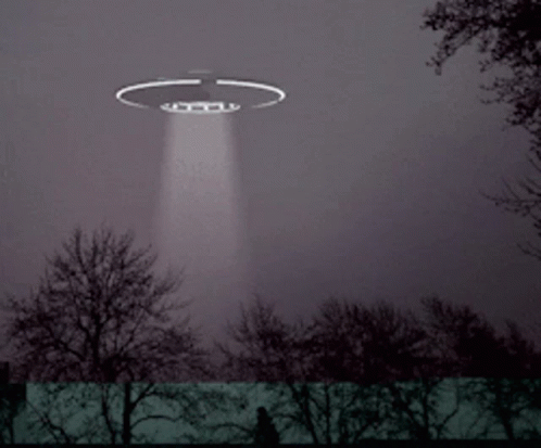 A Ufo Is Flying In The Night Sky Over A Forest GIF