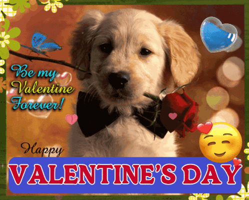 Valentine's Day Card Puppy With Bow Tie And Rose GIF